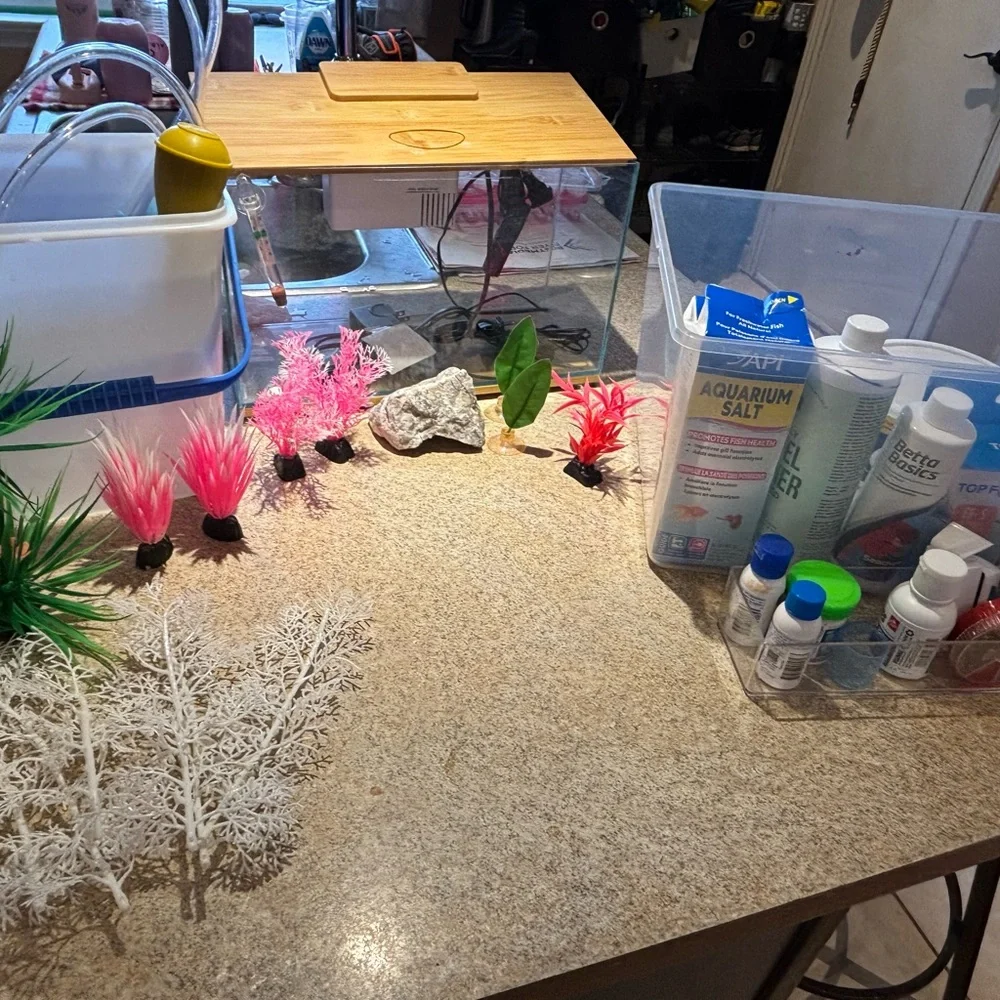 Glass Betta Fish Starting Kit - Picture 7 of 7